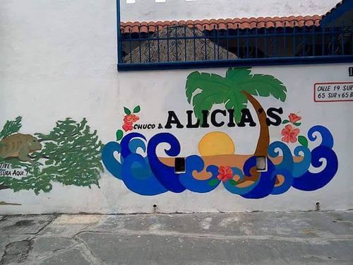 Alicia'S Bed & Breakfast Cozumel Exterior foto